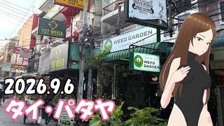 【タイ旅行】カンちゃん、娯楽用大麻の危険性を中学生に伝える