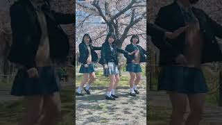 NGがすぎるww#最後まで見て #制服ダンス #fyp #YUION #NG