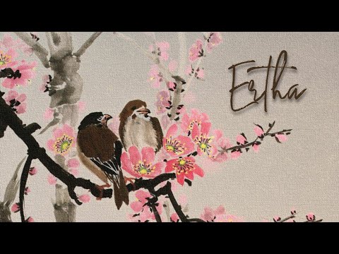 Video player poster image This is an image