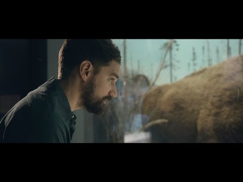 TIM BAKER - DANCE (OFFICIAL VIDEO)