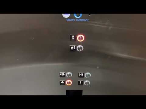 Schindler Traction Cinema Elevators @ The MGM Resort-Springfield MA