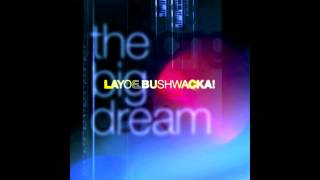 Layo & Bushwacka! - The Big Dream (Martin Buttrich Dreamer Remix)