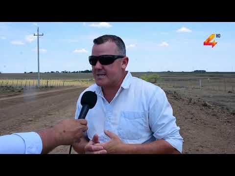 Saucedo y Palomas- Reparación de caminería rural