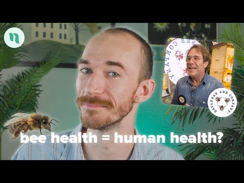 The Buzz on Bee Health: Why It Matters | Golden Age