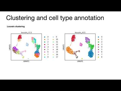 4th scanpy session - Clustering and cell type annotation