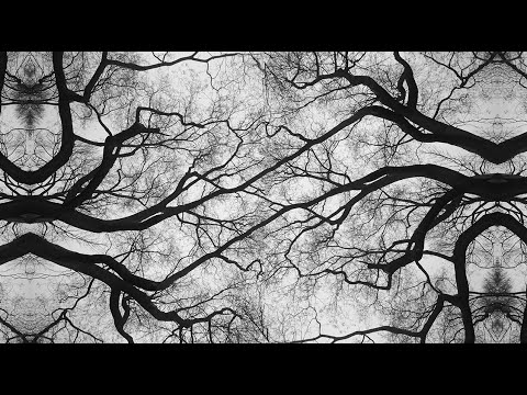 What is a Laboratory, that Cybernetics need escape it?