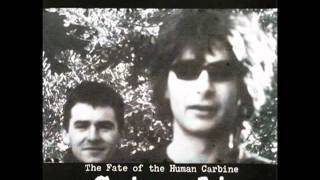 Peter Jefferies / Robbie Muir - Catapult