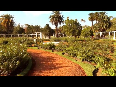 Exploring Rosedal de Palermo Park: Natural Beauty of Buenos Aires. Argentina. Subtitled.