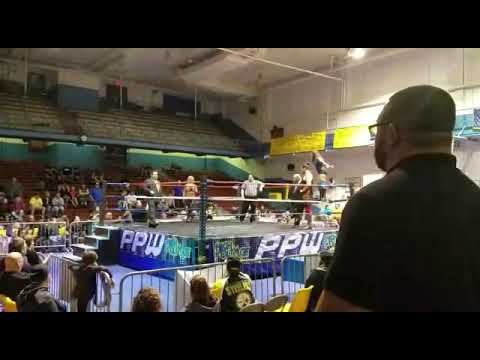 Allie Recks v. Angelina Love v. Miranda Vionette