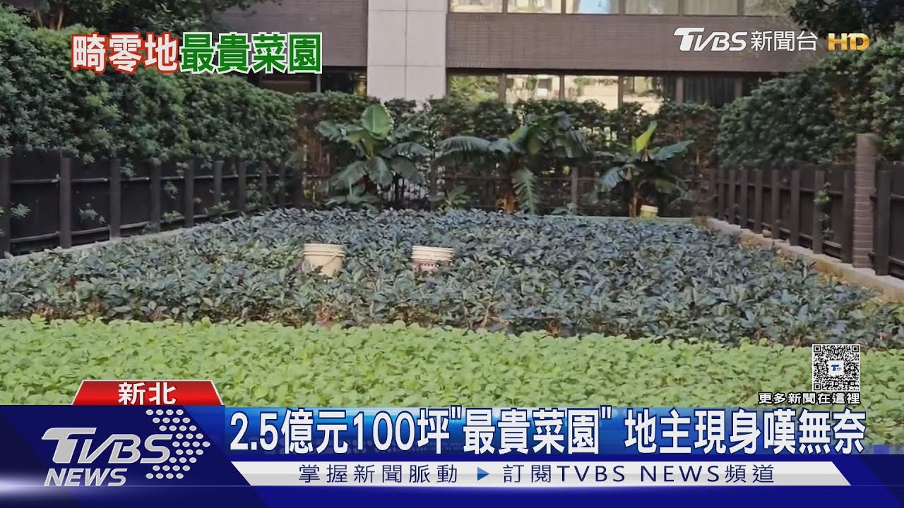 重劃區驚見2.5億百坪「最貴菜園」!女地主嘆:畸零地談不攏