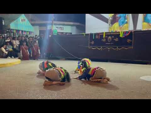 Anaconda - Alegria en la selva 💥 Agrupación Cultural "RITMOS DE MI PERÚ" Las brisas - Chiclayo 🇵🇪