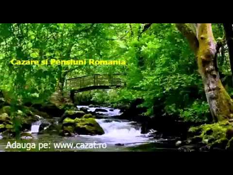 Cazare Trestienii de Sus, Prahova - Cazat.ro