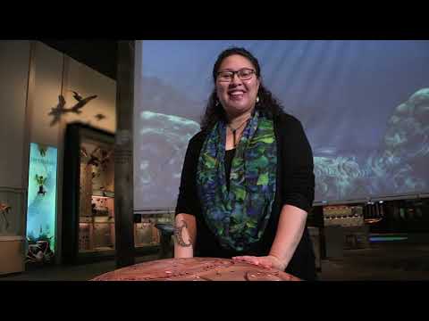 Learn te reo Māori with a tour of Te Taiao | Nature