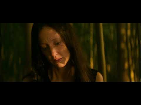 deju vu – sundazer