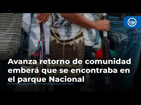 Avanza el retorno de la comunidad emberá que se encontraba en el Parque Nacional