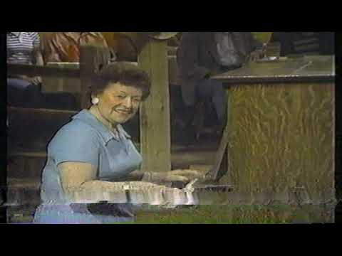 Del Wood - Medley (Hee Haw 1983)