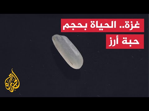 فيديو | غزة.. حين تصبح الحياة بحجم حبة أرز