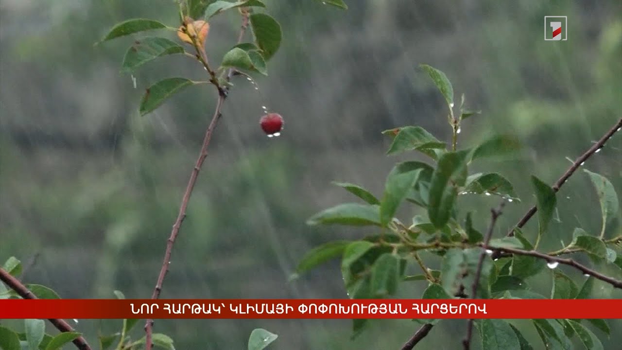 Նոր հարթակ՝ կլիմայի փոփոխության հարցերով