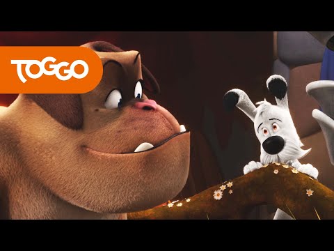 Idefix und die Unbeugsamen | Nachwuchs für die Unbeugsamen | Ganze Folge | TOGGO Serien
