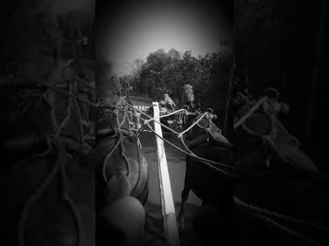 Enjoy the desi tanga