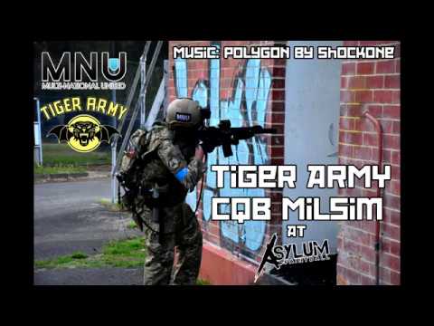 Asylum Airsoft with Tiger Army