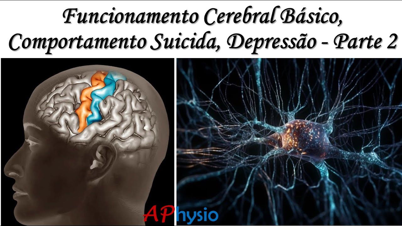 Funcionamento Cerebral Básico, Comportamento Suicida, Depressão - Parte 2