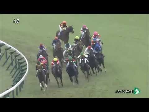 スプリンターズステークス2018