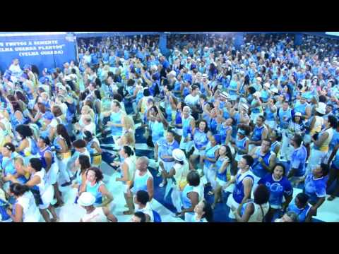 Portela 2017 - Ala a ala ensaio de comunidade