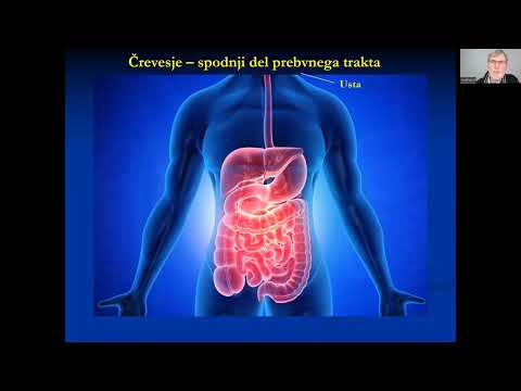 Prazniki in varno razstrupljanje - dr.Iztok Ostan (FEB 2023)