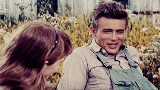James Dean - Lust for life ( Lana Del Rey ft. The Weeknd )
