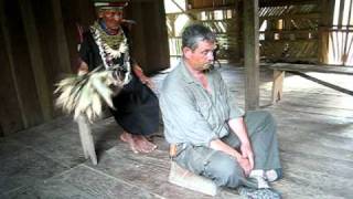 Amazon Shaman healing ritual