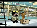 Real Cat In Cat Scratch