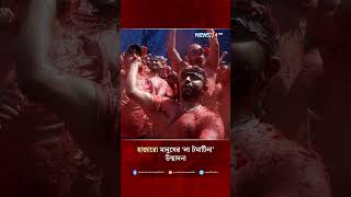 টমেটোর রঙে লাল পুরো শহর | La Tomatina Spain