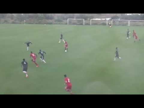 TFC Pre-Season: Sebastian Giovinco Goal - February 22, 2017