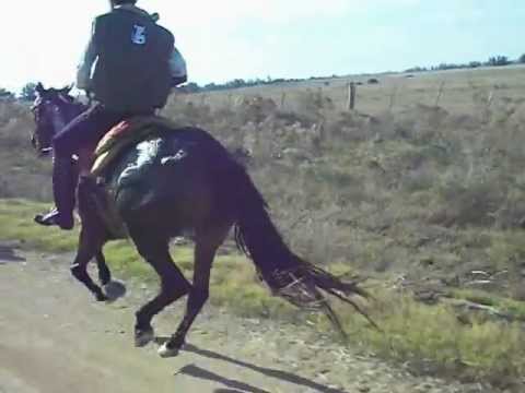 TODO CORAZON , ENDURO 2012 ESTACION ORTIZ MINAS .