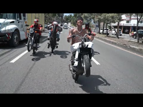 DILON BABY - MI HARLYN 30 🐦‍🔥(Video Oficial)