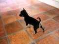 2007 06 030 Avi