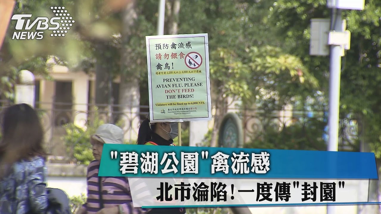 北市淪陷!「碧湖公園」禽流感 一度傳「封園」