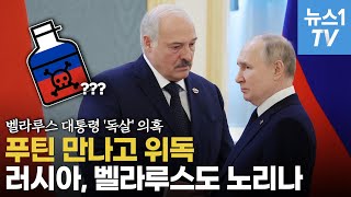 푸틴이 또?…벨라루스 대통령, 푸틴 만나고 '중태'