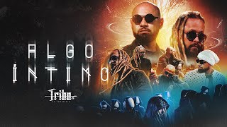 Algo Íntimo Lyrics English Translation