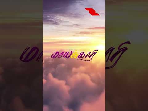 Maayakaari | Ennoda Maayakaari Song | Tamil song | Musical story | Santhosh Kumar | Nawazfilmmaker