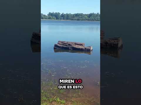 Noticias en Loreto Corrientes