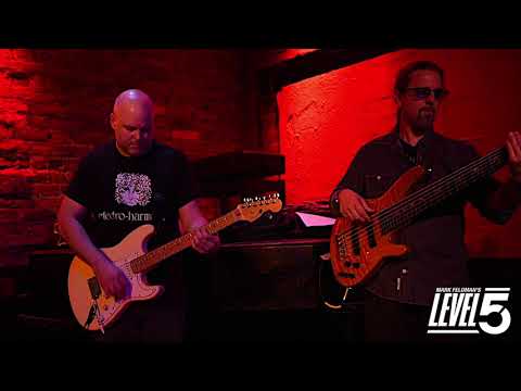 LEVEL5's "Doofus" 60 sec