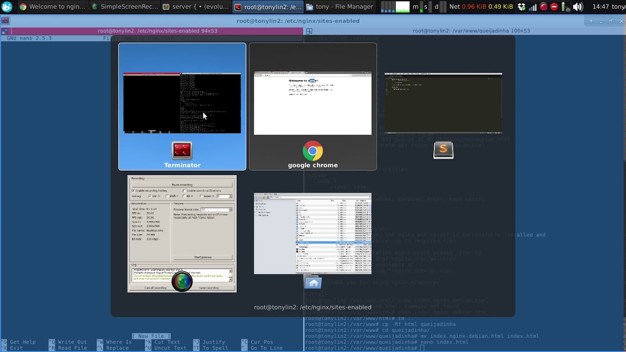 NGINX: pra que server isso?
