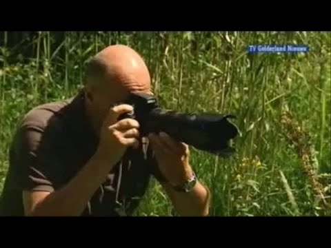 GLD Nieuws 2 augustus 2008 - Nieuws