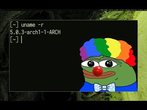 Upgrading to kernel 5.0.3 from 4.20.6 on Arch.