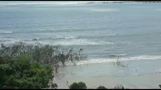 CORPUS CHRISTI. Voc est preparado pro que est vindo a? Como se cuidar durante a pandemia.Medite.