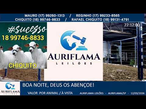 LEILÃO AURIFLAMA LEILÕES - 12/03/2026 - AURIFLAMA/SP - LEILÃO