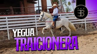 Chuy Lizárraga - El Vlog - Rancho El Aguacaliente -Yegua Traicionera