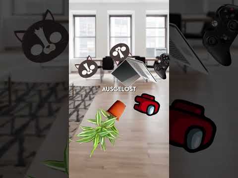 Katzen #cat #katze #catvideos